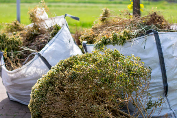 Best Household Junk Removal  in New Boston, OH